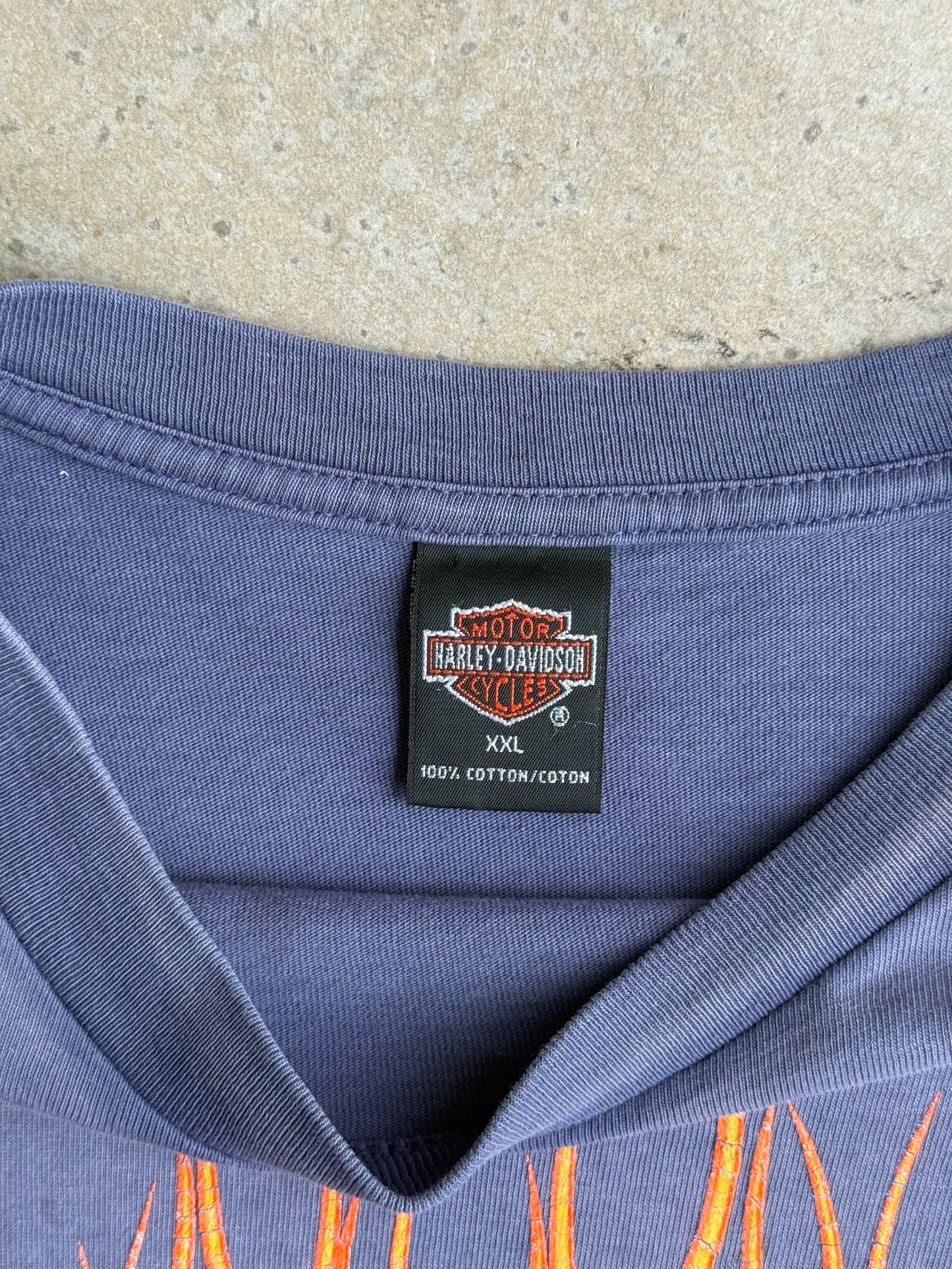 Vintage Faded Harley Davidson Long Sleeve Tee - XXL